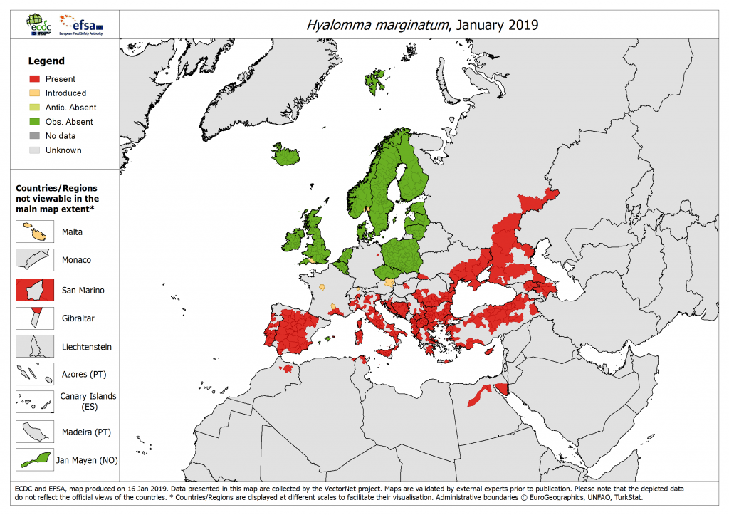 carte de distribution tique hyalomma marginatum europe